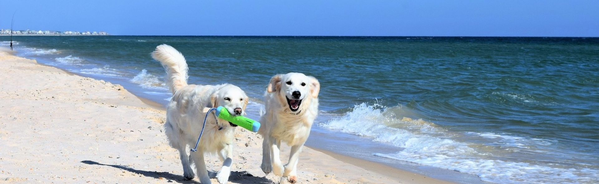 Collins Vacation Rentals, Inc.