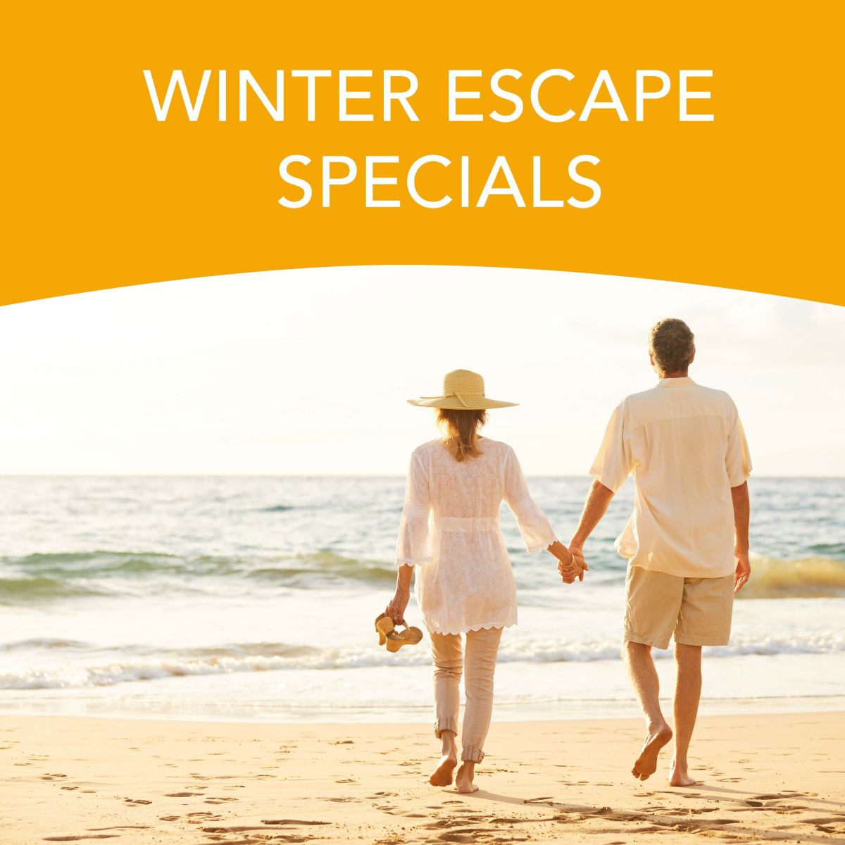 winter special